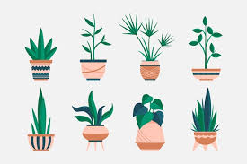 Plant Pot Images Free On Freepik