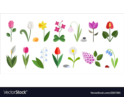 Flower Flat Icon Set Isolated On White