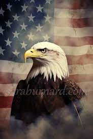 Patriotic Eagle Digital Usa