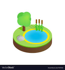 Pond In A Summer Forest Isometric 3d