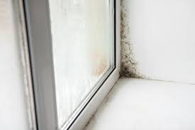 What Causes Black Mould Around Windows