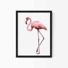Classy Pink Flamingo Wall Art Print