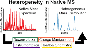 Native Mass Spectrometry