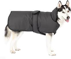 Petrageous Designs Juneau Insulated Dog