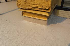 Vinyl Deck Waterproof Coating