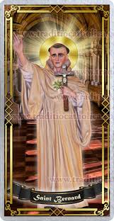 St Bernard Of Clairvaux Doctor Of The