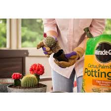 Cactus Palm And Citrus Potting Soil Mix