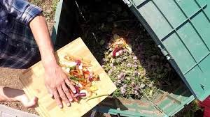 Compost Stock Footage Royalty Free