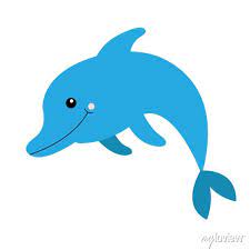Dolphin Icon Aquarium Zoo Sea Ocean