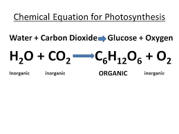 Chemical Equation Photosynthesis