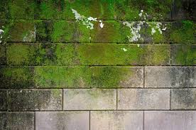 How To Clean Moss Off Brick Home