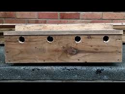 How To Make A Sparrow Nest Box How To