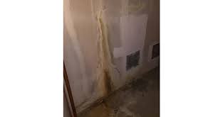 Signs Of Water Damage In A Basement