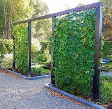 Garden Trellis Outdoor Gardens