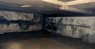 How Mold Grows On Concrete And How To