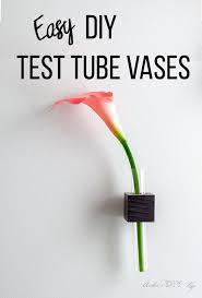 Diy Test Tube Bud Vase Wall Mounted