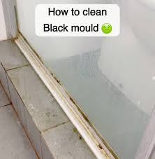 Black Mould In My Bathroom