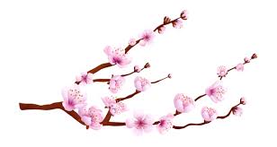 Cherry Blossom Icon Png Vector Psd