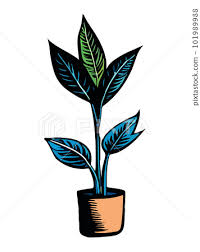 Pot Vector Ilration Cartoon Flat