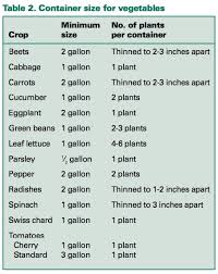 Container Size For Vegetables Http