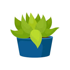 Blue Ceramic Pot Succulent Plant