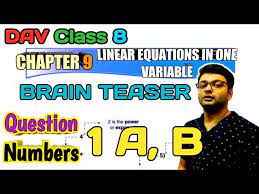 D A V Math Class 8 Ch 9 Linear