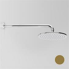 Astra Walker Icon Wall Shower Arm And