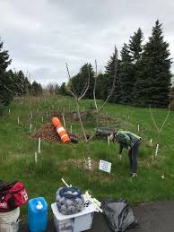 Oakvillegreen Conservation Association