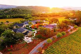 Italian Style Winemaking In California