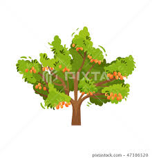 Flat Vector Icon Of Large Tree With