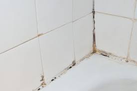 How To Clean Mildew How To Clean Things