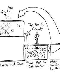 Barn Owl Nest Box Plans