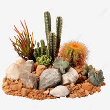 Desert Rock With Plants Rock Nature