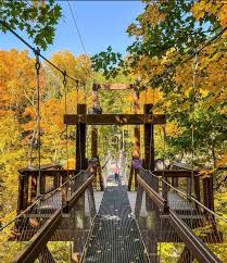 The Most Unique Canopy Walk In The U S