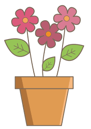 Cactus Plant Nature Flower Pot