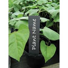 Slate Plant Labels Permanent Plant