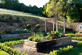 Terraced Vegetable Garden Country