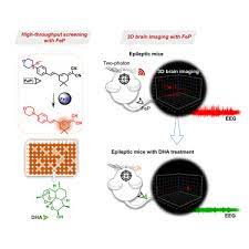 3d Two Photon Brain Imaging Reveals