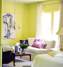 Yellow Green Paint Color S