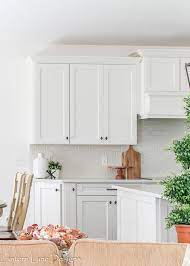 Shades Of White For Kitchen Cabinets