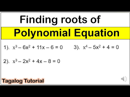 Finding Roots Of Polynomial Equation