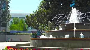 Garden Office Stock Footage Royalty