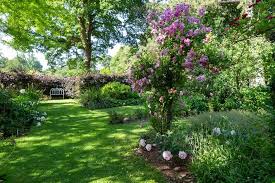 How To Plan A Border Rhs Gardening