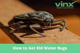 How To Get Rid Water Bugs