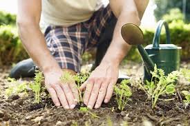 Desert Means Gardening Classes