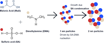Malonic Acid In Sulfuric Acid