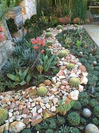 Amazing Garden Succulent Landscapes