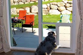 Sliding Glass Pet Door Utah Best Pet
