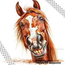 Page 2 Buckskin Horse Color Psd High
