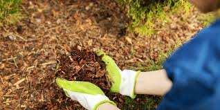 Waynesboro Landscape Garden Center